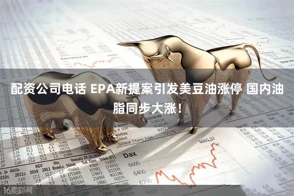 配资公司电话 EPA新提案引发美豆油涨停 国内油脂同步大涨！